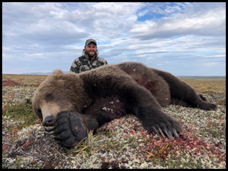 Alaska Brown Bear Hunting