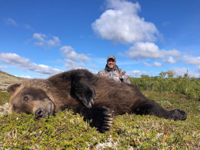 Alaska Brown Bear Hunting