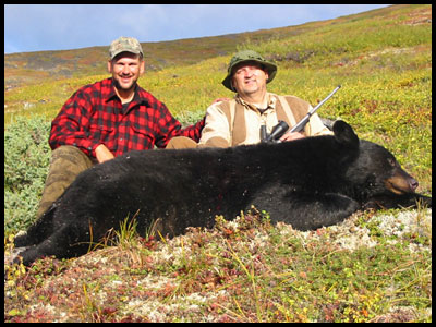 Alaska Black Bear Hunting