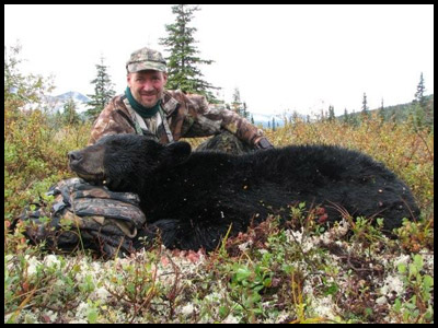 Alaska Black Bear Hunting