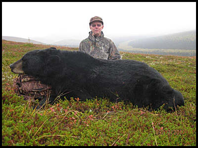 Black Bear on Guided Alaska Hunt